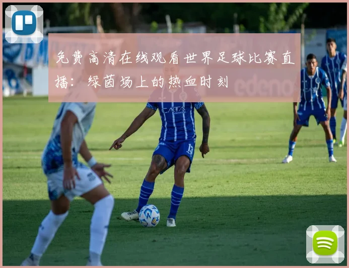 免费高清在线观看世界足球比赛直播：绿茵场上的热血时刻