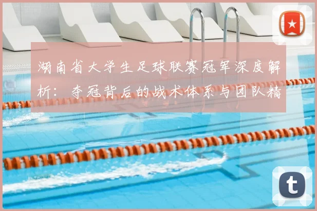 湖南省大学生足球联赛冠军深度解析：夺冠背后的战术体系与团队精神探秘